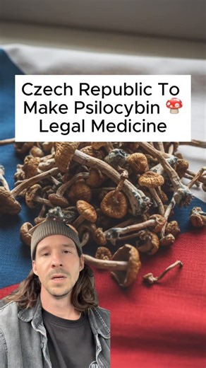 Mushies on Instagram: "According to a report published by Czech News Agency (CTK), the Czech Republic will allow medical psilocybin starting next year following an amendment to their Criminal Code. This marks a growing recognition of the therapeutic potential of psychedelics."