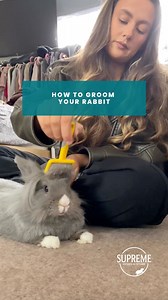 6.8K views · 71 reactions | Teddie deserves all the treats after...