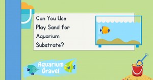 Can You Use Play Sand for Aquarium Substrate?