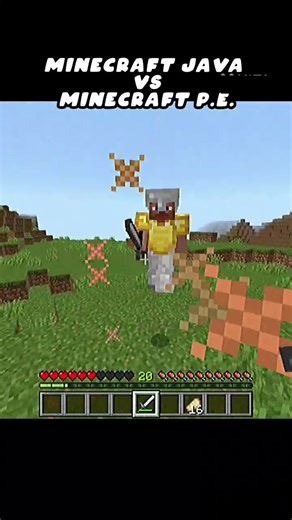 Minecraft Java vs pe 🥔 #minecraft