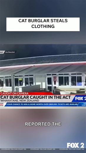 A New Zealand school has been plagued by missing clothing items for over a year. Security footage revealed the culprit: a cat! The feline thief has been stealing towels, shoes, and other items, stashing them in the PE shed. The school principal reported the strange disappearances, especially during pool season. The cat's motives remain a mystery, but it seems to be building a cozy shelter. | Fox2Now