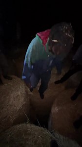 17K views · 295 reactions | "I'll just play a quick game..." (Source: https://twitter.com/tize4PF/status/1593380253451403265) | Paradox Interactive | Facebook