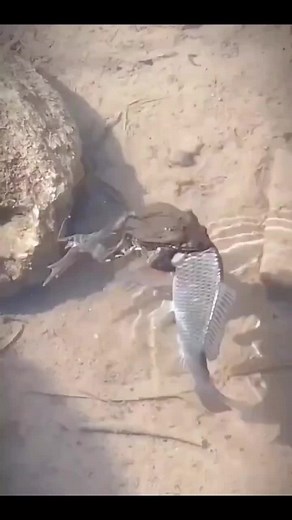 Adolph (@adolph975)’s videos with original sound - Adolph