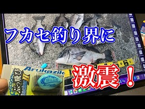 Introducing all-in-one floating sinking fishing tackle (black porgy fishing) 2022 edition