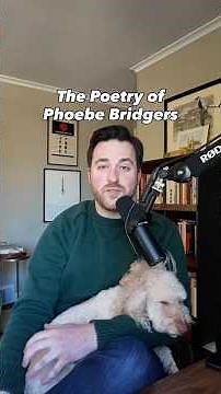 The poetry of Phoebe Bridgers