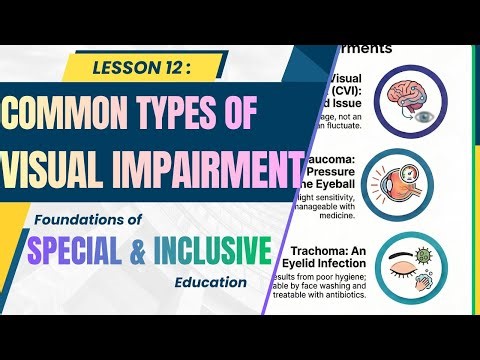 Lesson 12 | Common Visual Impairments in Learners | Foundations of Special & Inclusive Education