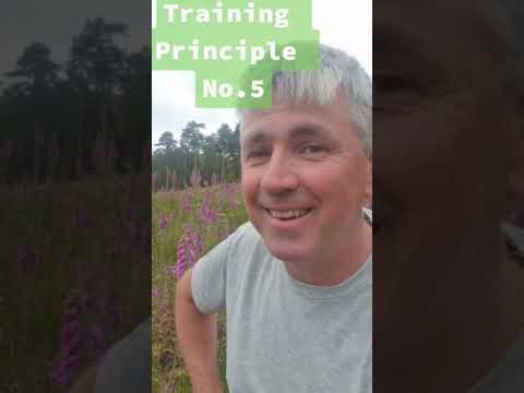 6 Dogtraining Principles for sheepdogs that I mention at nearly every clinic
