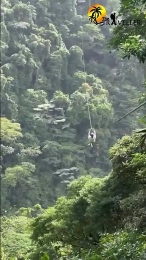 Ziplining over a literal jungle abyss!