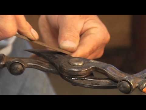 Standard Loppers Maintenance - Prune Like a Pro