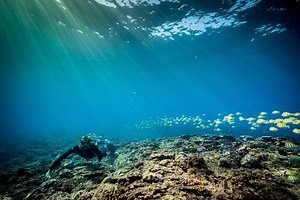 Exploring the Mysterious Underwater World of Apnea with Champion Vincent Mathieu