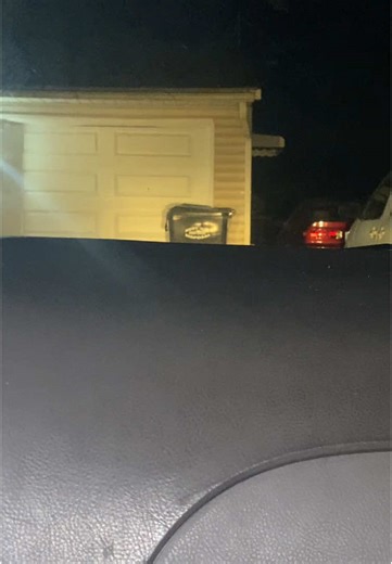 fein fein fein #fein