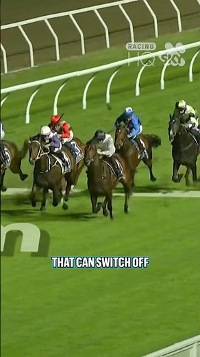 THE NEXT EPISODE is one of Australia's most exciting horses and his target is the Coolmore! 👀
