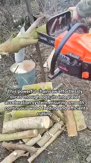 Timber Processing with Sawdust Collection.