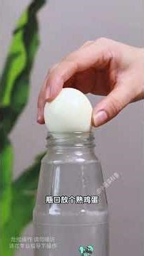 Hands-On Science: Why Real-World Experiments Trump 100 Pop Sci Reads