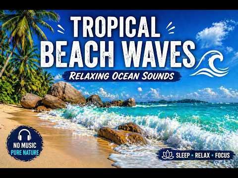 Tropical Beach Waves 🌊 Relaxing Ocean Sounds | Calm Paradise Ambience