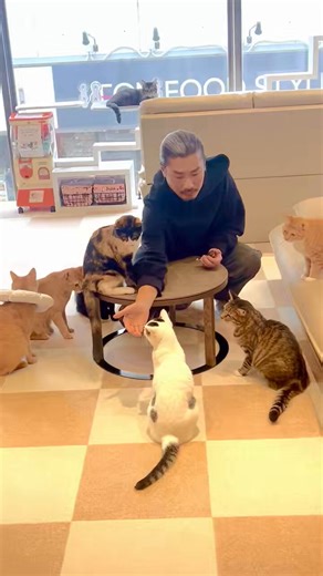#パンサー菅44歳を迎えました！🎂猫とゲームと漫画大好き元ギャル男菅さんを今年もよろしくお願いします！〜AIが生成した嘘すぎる菅さんを添えて〜