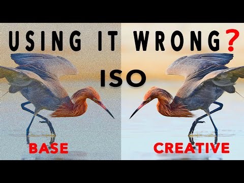 The Hidden Power of ISO To Create Your Signature Look!