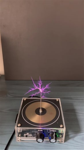 Lightning vs Chrysanthemum: A Shocking Science Experiment