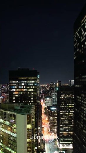 CameraTalk: Down Town Toronto by Night