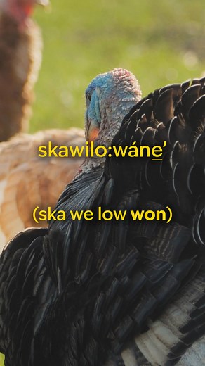 Learn Onyota'a:ká: Skawilo:wáne̲’ | "Turkey" 🦃 | Oneida Indian Nation