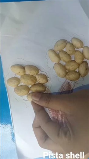 tree with pista shell 🌳