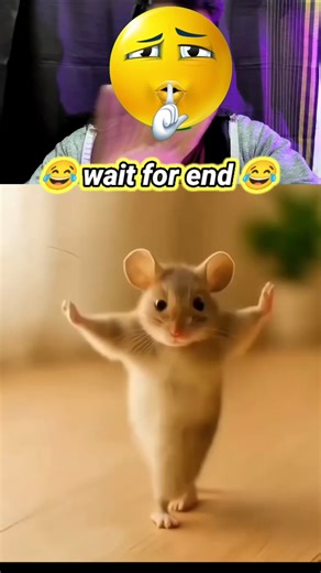 funny Roasting Memes 😂😂😂 Wait for end 😂😂#funny #short #comedy #virralshorts