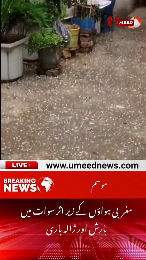 Rain and hail in Swat under the influence of westerly winds - UMEED News #umeednews | Umeed News