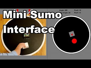 Mini Sumo Interface