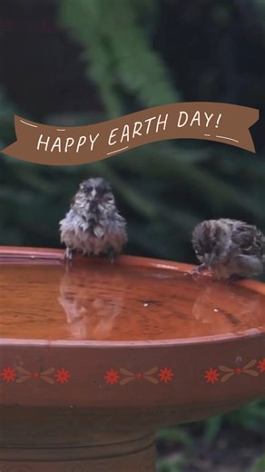Yes, we are OPEN! And celebrating Earth day  Come join us! #EarthDay2025 #bestkeptsecretstour #natureinspired #homedecor #uniquegifts #VintageFinds #artisanmade #Barnfreshvintagemarket #gilbertsvillepa #boyertownpa #supportlocalbusinesses | Barn Fresh Vintage Market | Facebook