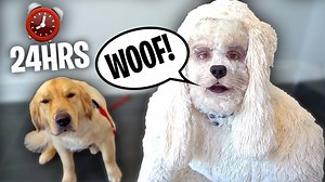 TRANSFORMING INTO A DOG FOR A DAY!! (24 hr challenge) | Jake Paul