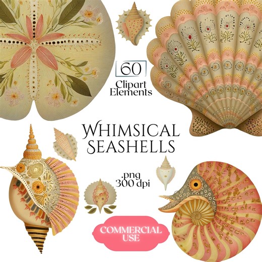 Whimsical Seashells Clipart, Decorative Cottagecore Seashell PNG Graphics, Coastal Shell Illustrations (60 Files, Transparent Background) - Etsy