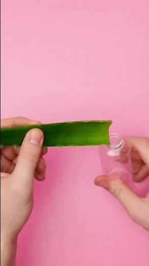 SMART ALOE VERA BEAUTY HACKS || New Girly Hacks And Tips by 123 GO! SHORTS #shorts
