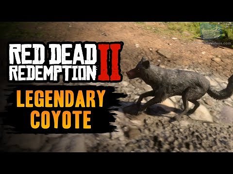 Red Dead Redemption 2 Legendary Animal - Legendary Coyote