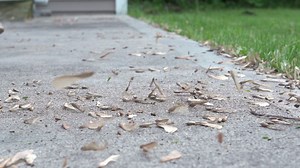 Blowing Dirt Debris From Concrete Patio Stock Footage SBV-301159200 - Storyblocks