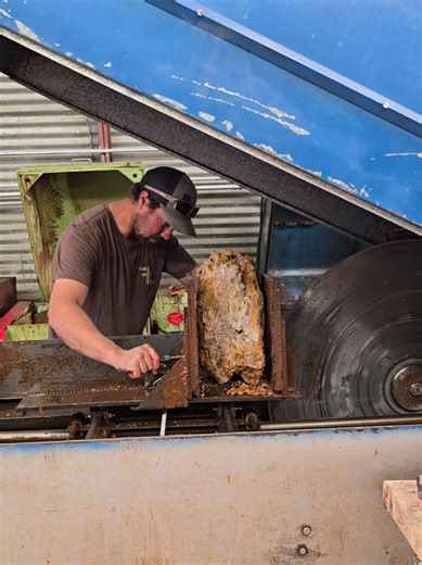 Discovering Amazing Howardite from Nevada