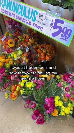 Capturing Spring Vibes with My Favorite Flowers