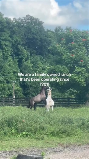 Discover Bar B Ranch: A Family Legacy in Davie, FL