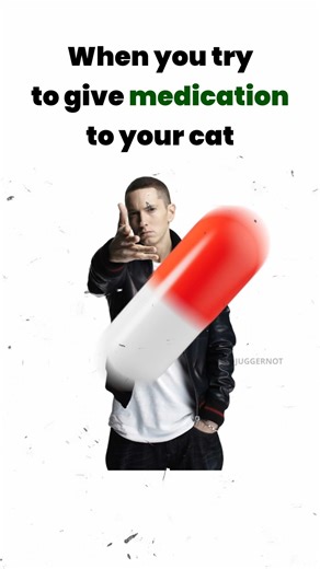 relatable meme #memes #funnymemes