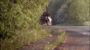 MOST EXPENSIVE British Gypsy Wedding Full Show! | My Big Fat Wedding