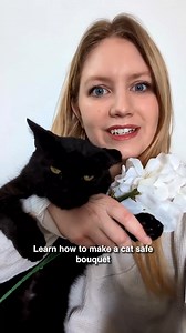 199K views · 3.6K reactions | Cat-safe flowers for Valentine's day 殺 | Cats.com | Facebook