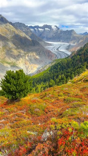 Marc Edmund🇨🇭 on Instagram: "The Aletsch Glacier in the Aletsch Arena!🏔️ It’s the longest and biggest glacier in the Alps, stretching over 23 kilometers and up to 900 meters thick. Anzeige• I spent one day exploring this area and honestly wish I had stayed longer:) If you’re visiting Valais, make sure this one’s on your list 📋 📍@valaiswallis @aletscharena_ch 📸 Videography by @swissedmund #switzerland #travel #nature #swiss #mountains #schweiz #photography #suisse #landscape #travellphotogr