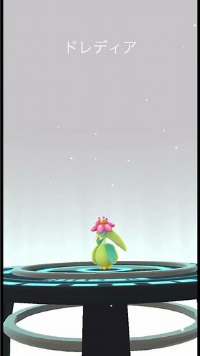ポケモンGOフェス2023大阪 色違いチュリネを進化 / pokemonGOfest2023OSAKA