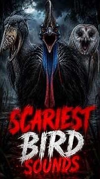Top 5 Scariest Bird Sounds Ever Recorded 😱#Shoebill #BarnOwl #Wildlife #nature