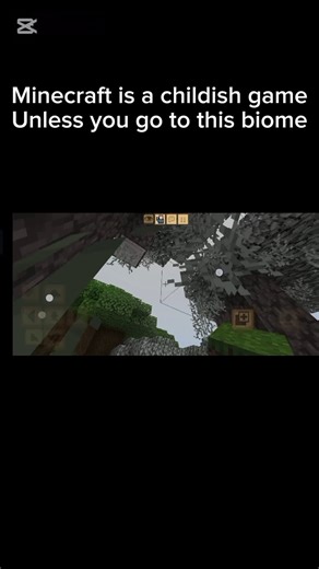 palm biome#minecraft