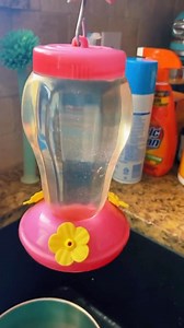 Homemade Hummingbird Nectar #hummingbird #nectar #springdiy #hummingbirdfeeder | Simplistically Living