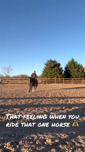 We’re a little rusty on our buttons but this mare is everything 🖤 | Camille's Mustangs