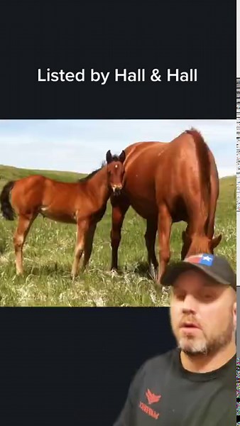 Montana Ranches for Sale Now