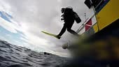 Scuba Diver in Action. Open Water Diving. Scuba Diving Tourism....