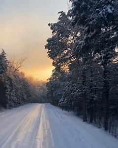 6.3K views · 444 reactions | A morning ride through the snow-covered cedar forest. ️: Cedars of Lebanon State Park | Tennessee State Parks | Facebook
