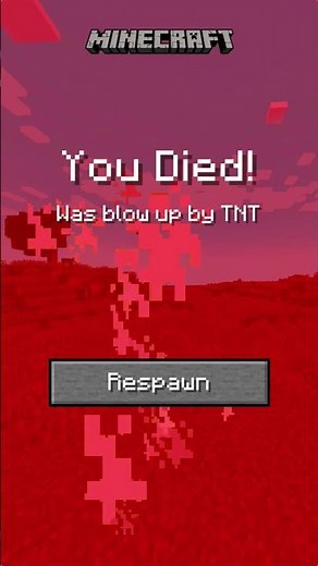 Minecraft - TNT Blow Up Filter #minecraft #viral